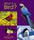 Cover of: What Is a Bird? (Animal Kingdom)