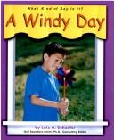 A Windy Day (What Kind of Day is It?) by Lola M. Schaefer