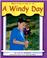 Cover of: A Windy Day (What Kind of Day Is It)