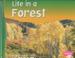 Cover of: Life in a Forest