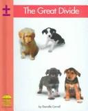 Cover of: The Great Divide (Yellow Umbrella Books: Math)