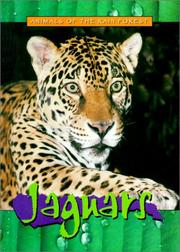 Cover of: Jaguars (Animals of the Rain Forest)