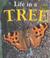 Cover of: Life in a Tree