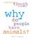 Cover of: Why Do People Harm Animals? (Exploring Tough Issues)