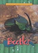 Cover of: Beetles (Animals of the Rain Forest)