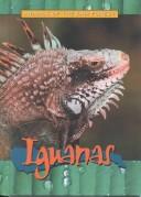 Cover of: Iguanas (Animals of the Rain Forest) by Sandra Donovan