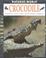 Cover of: Crocodile