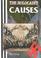 Cover of: The Holocaust Causes (Holocaust (Raintree Steck-Vaughn))