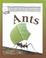 Cover of: Ants (Secret World of)