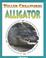 Cover of: Alligator (Killer Creatures)