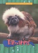 Cover of: Tamarins (Animals of the Rain Forest) by 