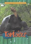 Cover of: Tortoises (Animals of the Rain Forest)