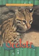 Ocelots (Animals of the Rain Forest) by Sam Dollar