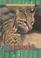 Cover of: Ocelots (Animals of the Rain Forest)