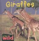 Cover of: Giraffes (In the Wild)