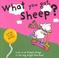 Cover of: What You Got, Sheep?