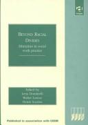 Cover of: Beyond racial divides: ethnicities in social work practice