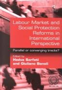 Cover of: Labour market and social protection reforms in international perspective by edited by Hedva Sarfati and Giuliano Bonoli.