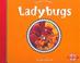 Cover of: Ladybugs (Nature's Friends)