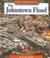 Cover of: The Johnstown Flood (We the People: Industrial America)