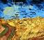 Cover of: Van Gogh's Van Goghs