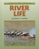 Cover of: River Life (Deep in the Amazon)