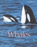 Cover of: Whales (Animalways)