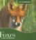 Cover of: Animals Animals Group 7 (Animals Animals)