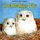 Cover of: Owl babies fly