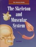 Cover of: The Skeleton and Muscular System (Human Body (Austin, Tex.).)