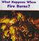 Cover of: Fire Burns (What Happens When)