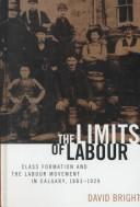 Cover of: The limits of labour by David Bright