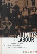 Cover of: The Limits of Labour by David Bright