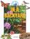 Cover of: In a Backyard (Small Worlds)