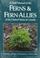 Cover of: ECOL TROPICAL FOREST
