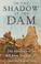 Cover of: In the shadow of the dam