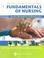 Cover of: Skill Checklists to Accompany Fundamentals of Nursing