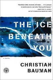 Cover of: The ice beneath you: a novel