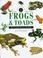 Cover of: Frogs & Toads