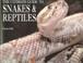 Cover of: The Ultimate Guide To Snakes & Reptiles