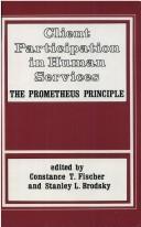 Cover of: Client participation in human services by edited by Constance T. Fischer and Stanley L. Brodsky.