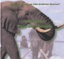 Cover of: Mastodons, mammoths, and modern-day elephants by Marianne Johnston