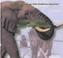 Cover of: Mastodons, mammoths, and modern-day elephants