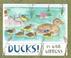 Cover of: Ducks