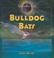 Cover of: Bulldog Bats (Raabe, Emily. Library of Bats.)