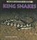 Cover of: King Snakes (The Really Wild Life of Snakes)
