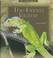 Cover of: The Green Iguana (Miller, Jake, Lizard Library.)