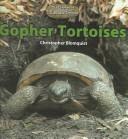 Cover of: Gopher Tortoises (The Library of Turtles and Tortoises)