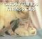 Cover of: Gatos Y Gatitos/Kittens & Cats