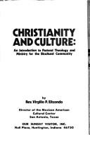 Cover of: Christianity and culture: an introduction to pastoral theology and ministry for the bicultural community